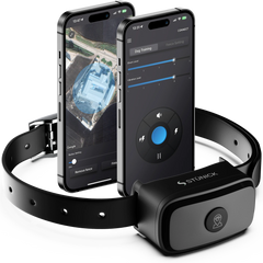 GPS & Wireless Dog Fences