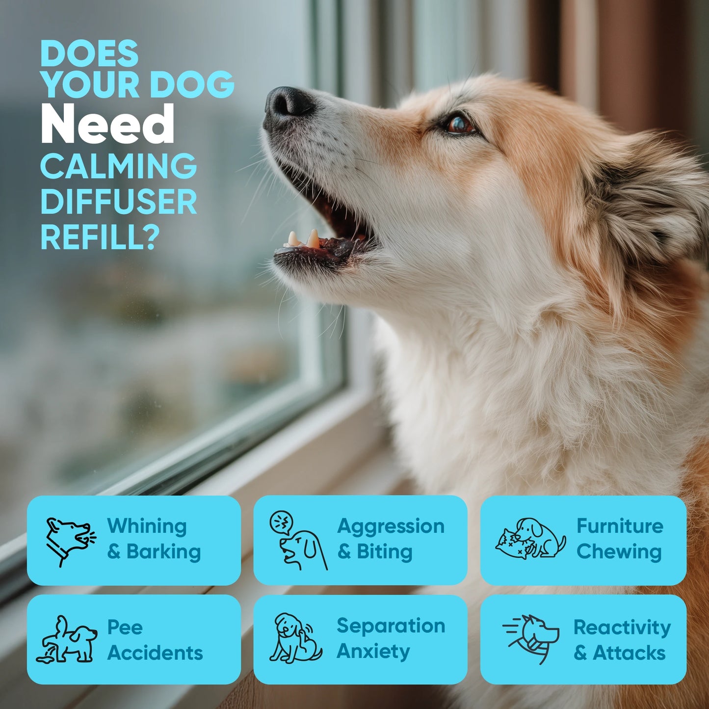 STÙNICK CB1 Dog Calming Diffuser Kit