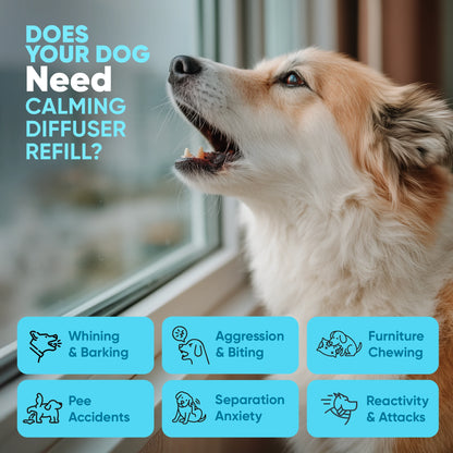 STÙNICK CB1 Dog Calming Diffuser Kit
