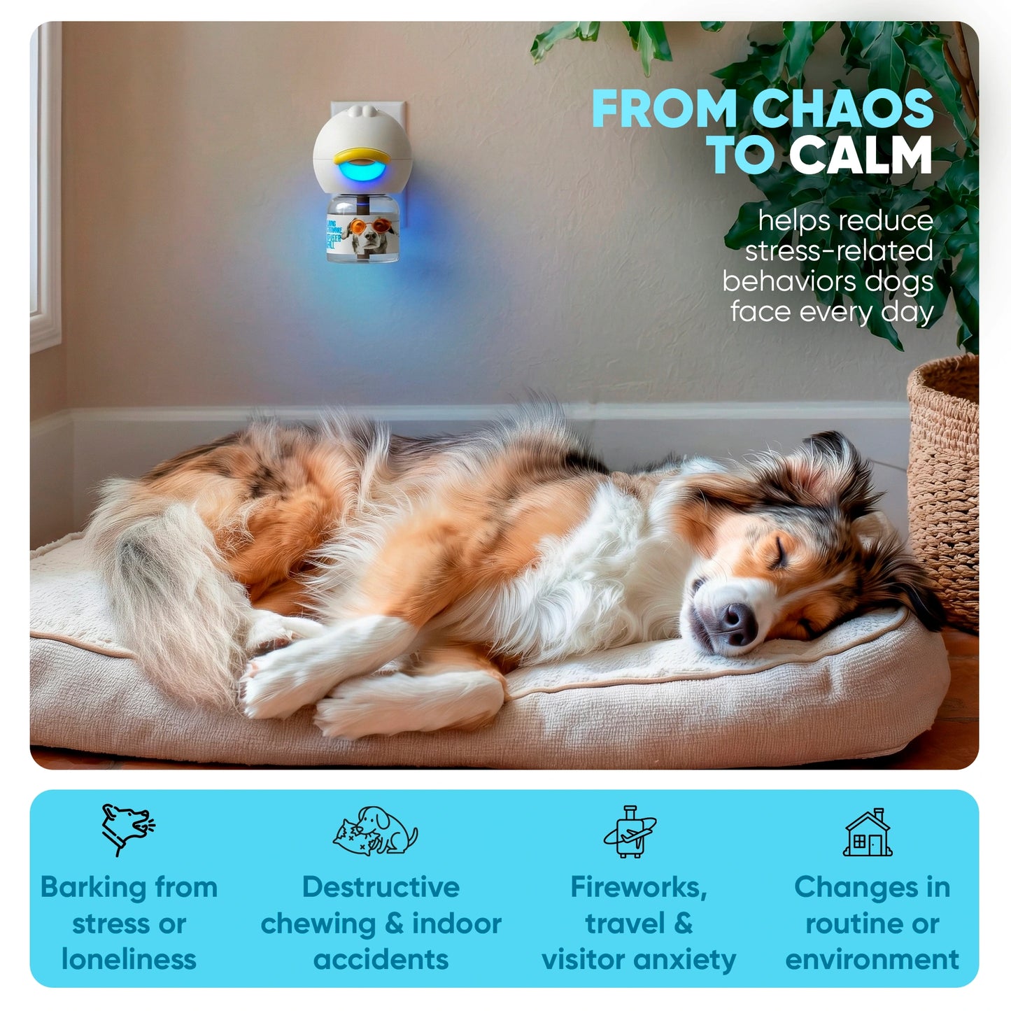STÙNICK CB1 Dog Calming Diffuser Kit