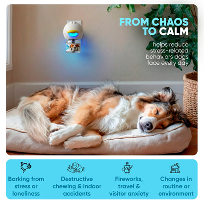STÙNICK CB1 Dog Calming Diffuser Kit