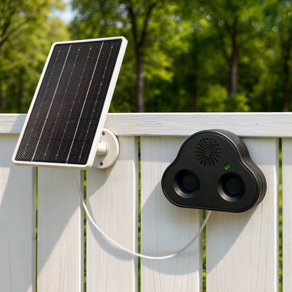 Solar Panels: Clean, Green, and Cost-Effective Energy